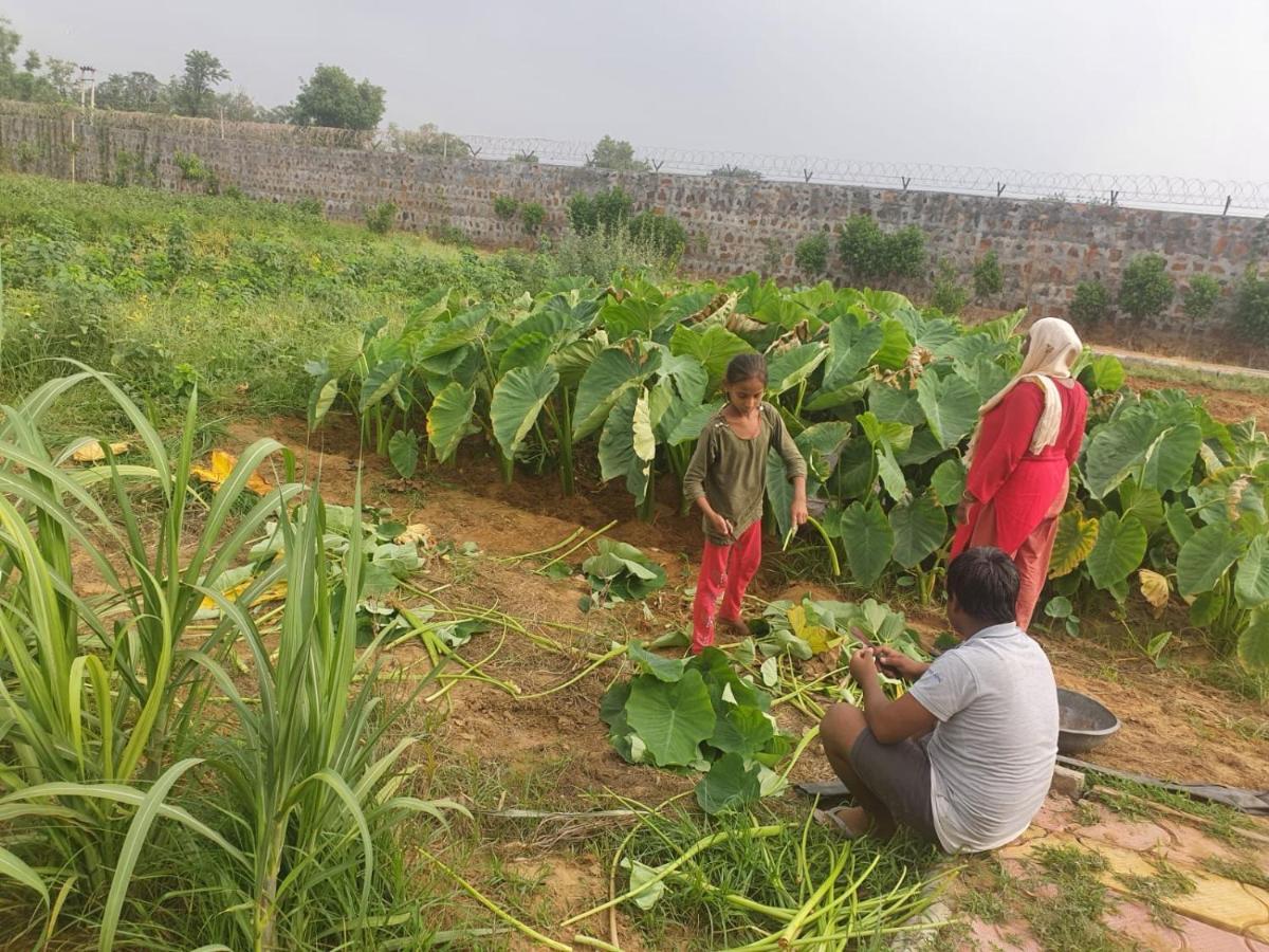 Sohna Ekant Farm Houseヴィラ エクステリア 写真